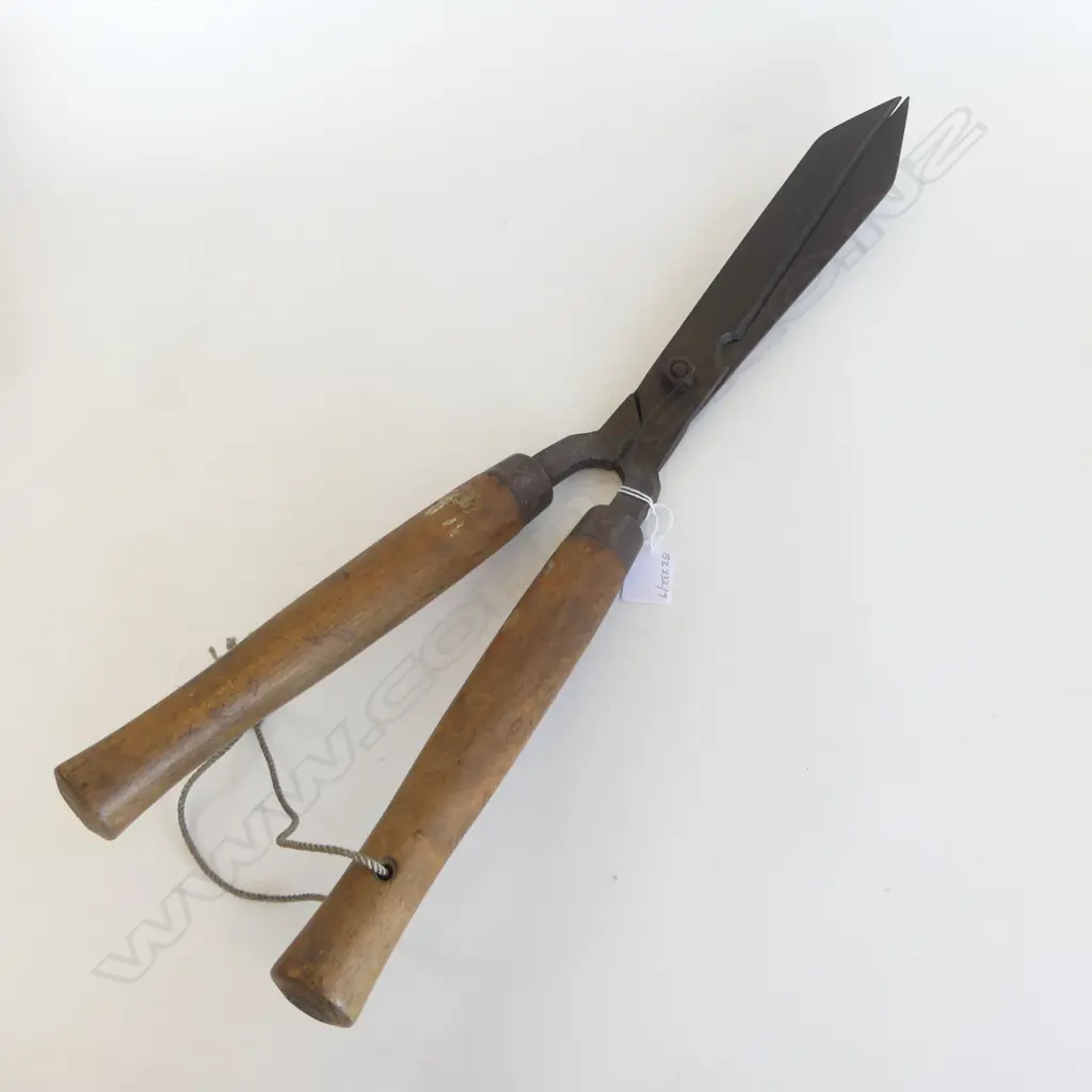 ANTIQUE C.T SKELTON & CO SHEFFIELD STEEL GARDEN SHEARS HEDGE TRIMMERS - SHARP L.60CM Image 1++