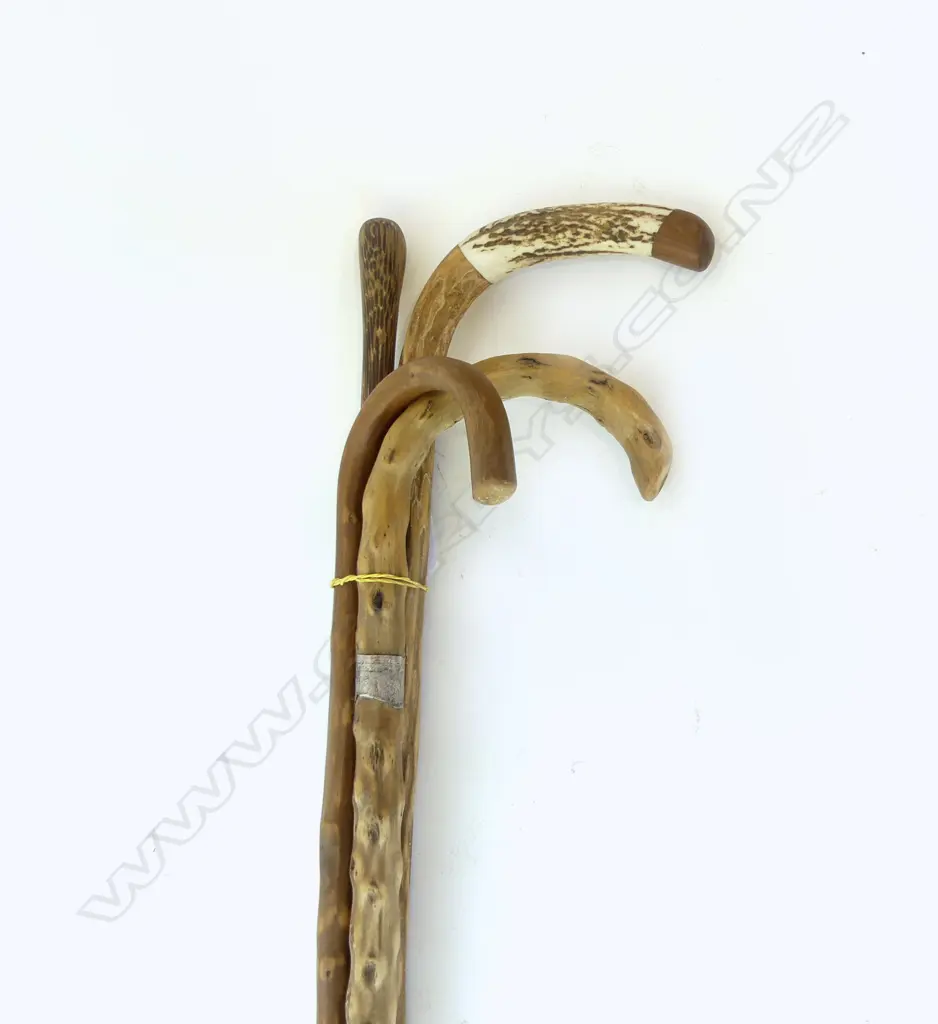 THREE CANES & 1 WALKING STICK, WOODEN, 1 BONE HANDLE, 1 SILVER COLLAR, Image 1++
