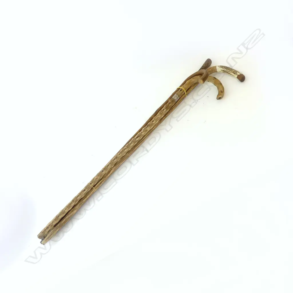THREE CANES & 1 WALKING STICK, WOODEN, 1 BONE HANDLE, 1 SILVER COLLAR, Image 1++