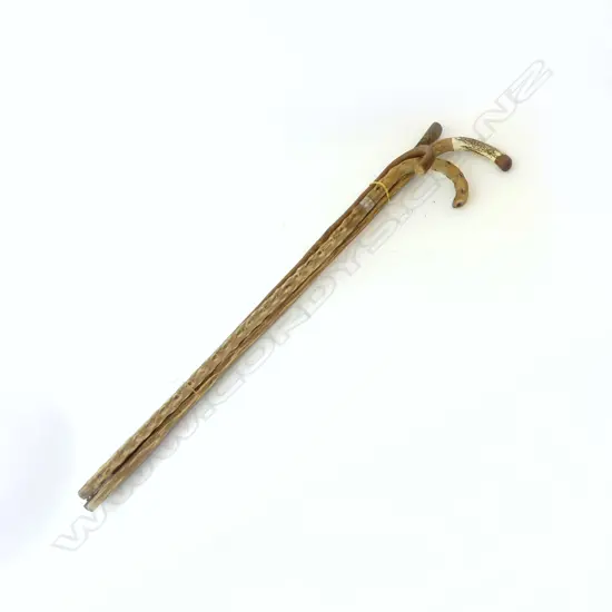 THREE CANES & 1 WALKING STICK, WOODEN, 1 BONE HANDLE, 1 SILVER COLLAR,