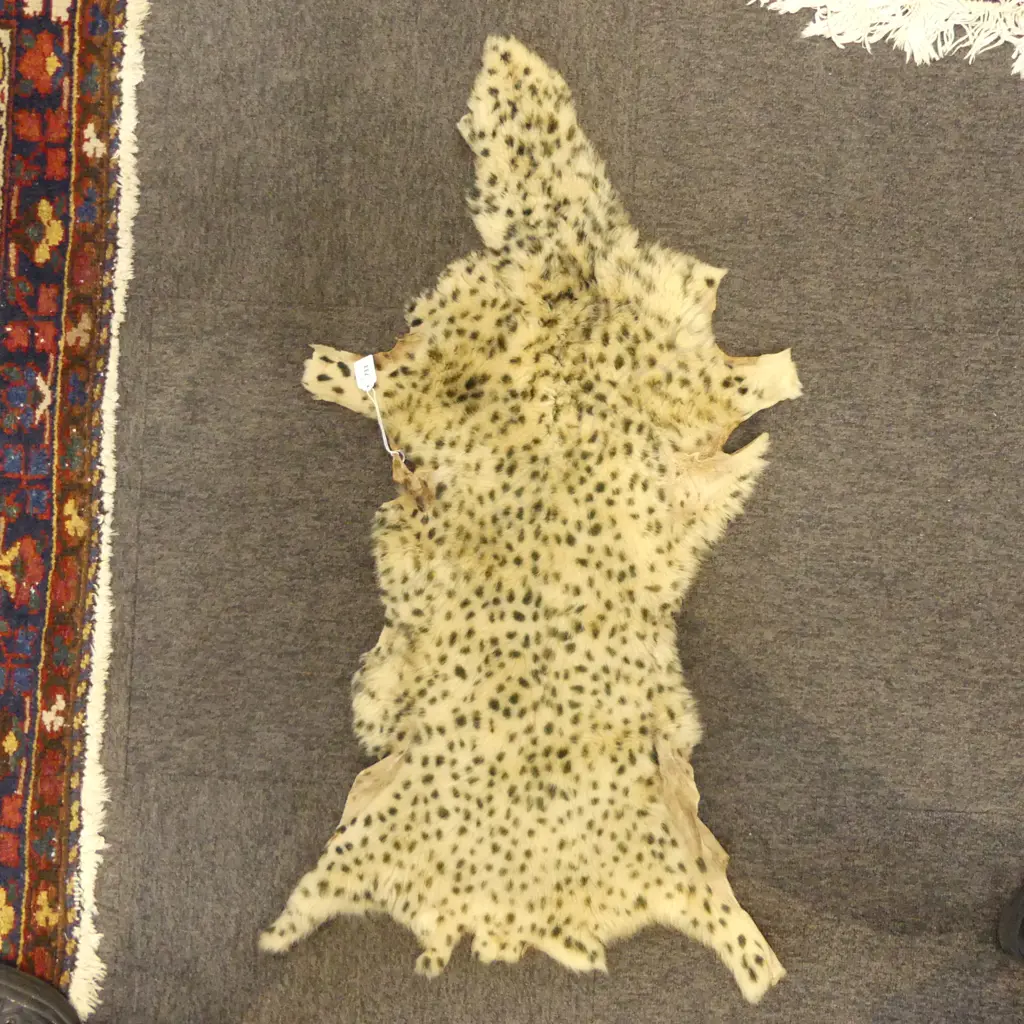 EXOTIC WILD CAT PELT L.980mm Image 1++