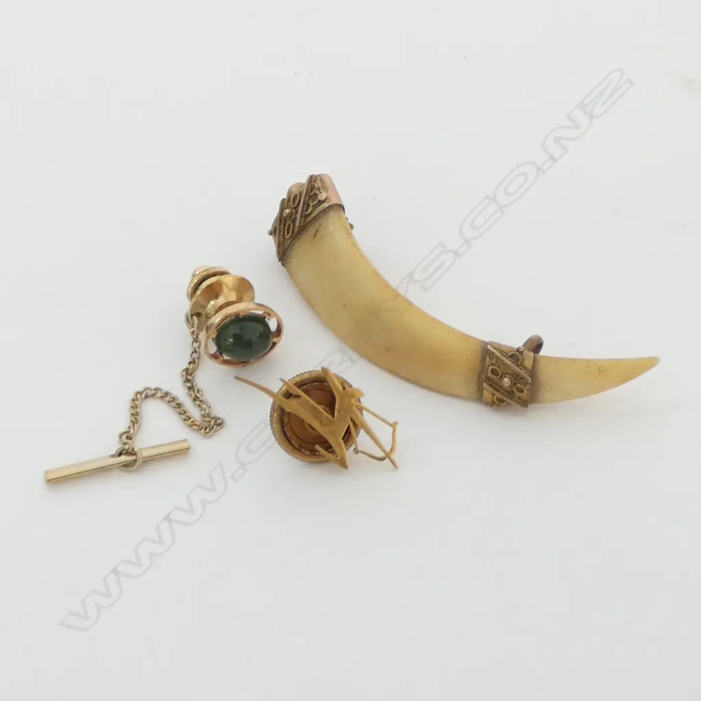 GOLD TUSK BROOCH AF L.60mm + 2 9CT PINS Image 1++