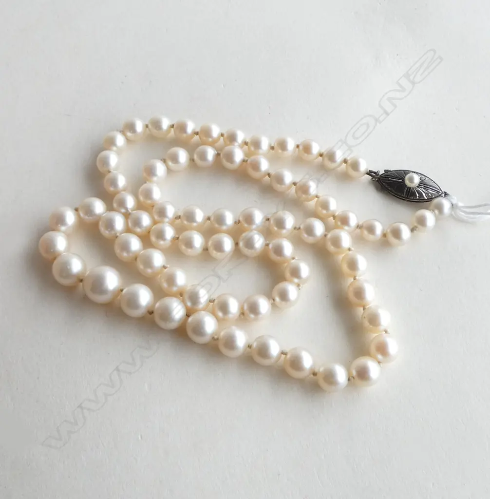 Graduated 67 cultured pearl necklace silver clasp individually knotted Image 1++