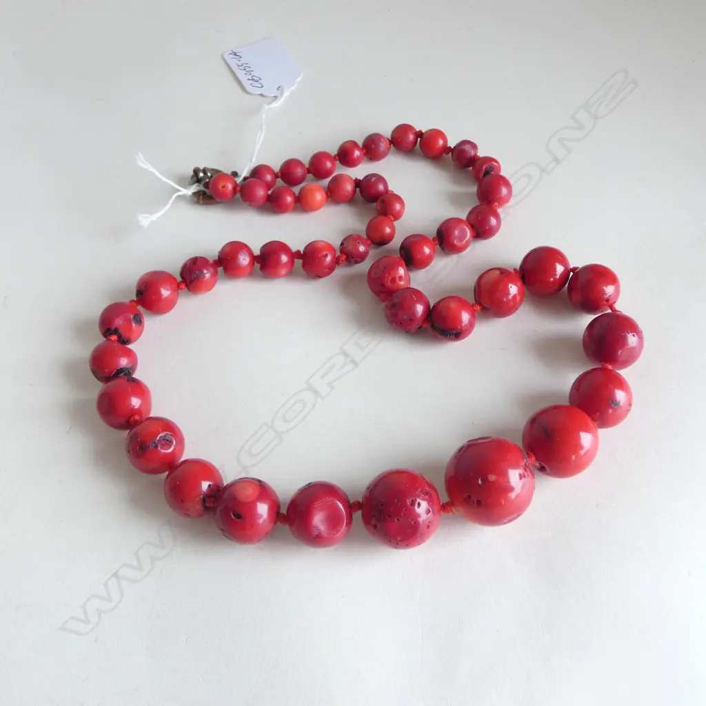 DYED CORAL BEAD HANDKNOTTED NECKLACE Image 1++