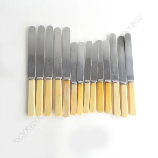 14 IVORINE 'BONE' HANDLED KNIVES; 6 215mm, 3 245mm, 5 270mm