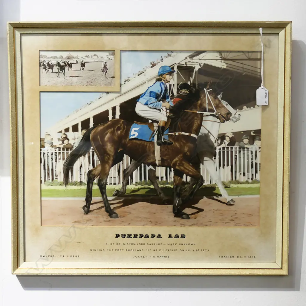 HAND COLOURED HORSE RACING PHOTO 'PUKEPAPA LAD' 1973 340x430mm Image 1++