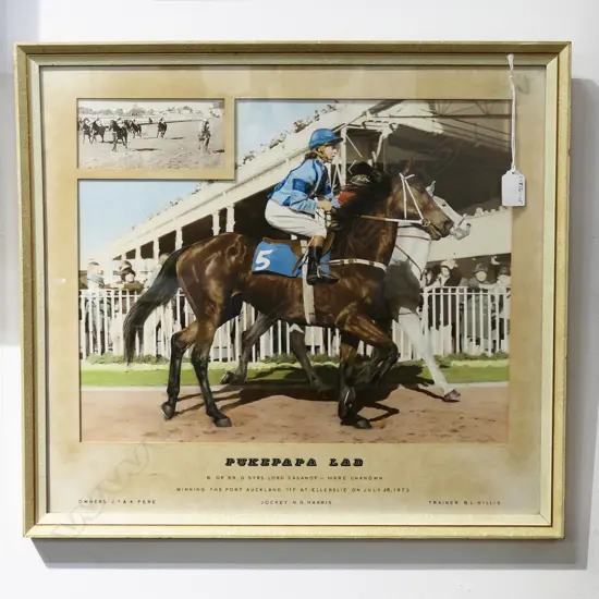 HAND COLOURED HORSE RACING PHOTO 'PUKEPAPA LAD' 1973 340x430mm