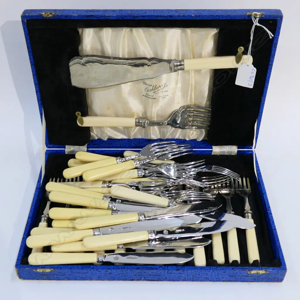 CASED FISH SET + SERVERS Image 1++