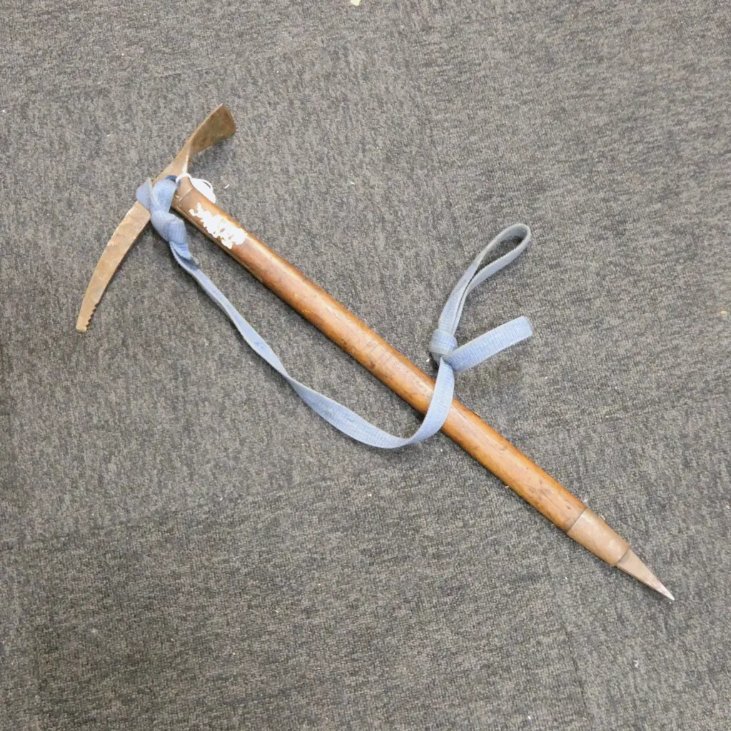 VINTAGE CHOUINARD-FROST ICE PICK AXE L.690mm Image 1++