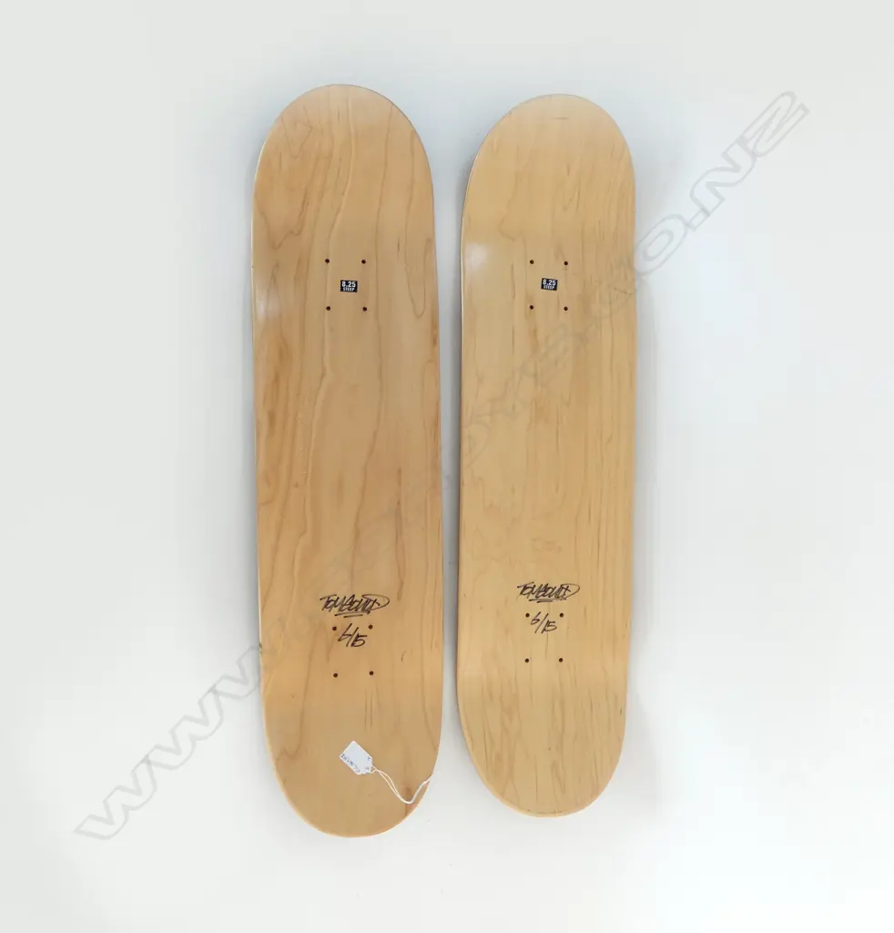 2 'ARCADE' SKATEBOARD FRAMES L.820mm Image 1++
