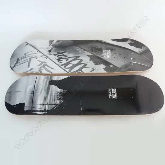 2 'ARCADE' SKATEBOARD FRAMES L.820mm