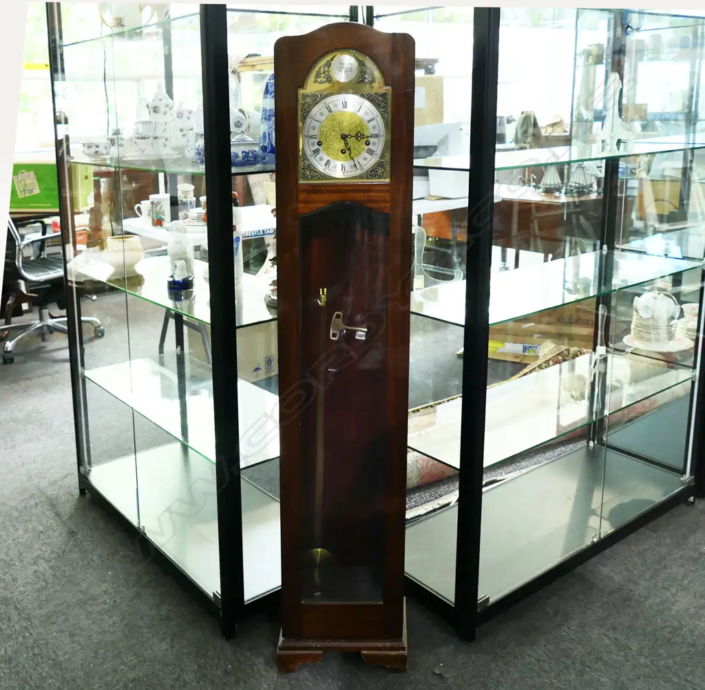 TEMPUS FUGIT GRANDDAUGHTER CLOCK H.1380mm Image 1++