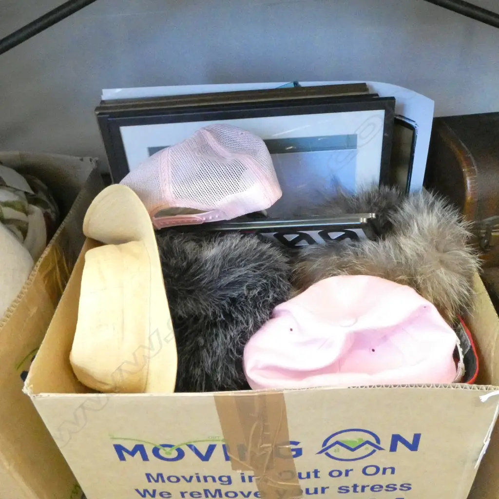 LIGHTS, HATS, PRINTS ETC Image 1++