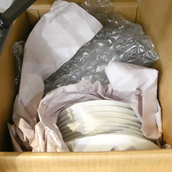 THOMAS DINNER PLATES