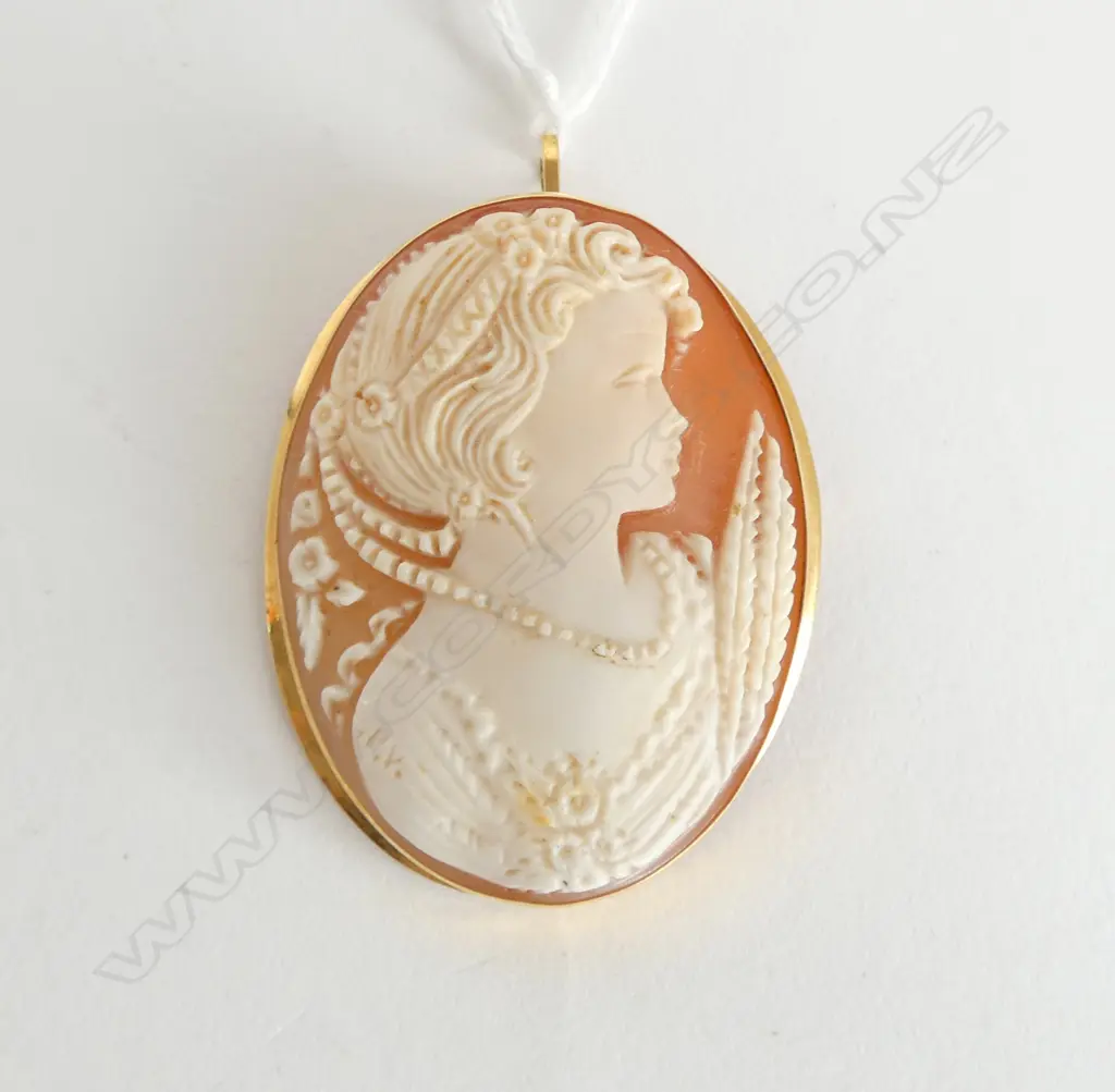 18CT GOLD FRAMED CAMEO BROOCH/PENDANT Image 1++
