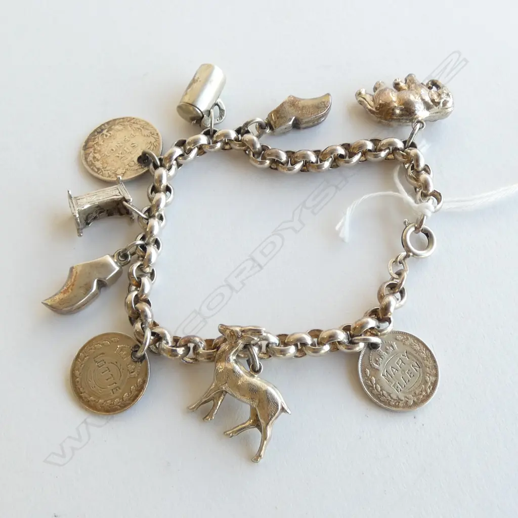 SILVER CHARM BRACELET: coins animals etc Image 1++