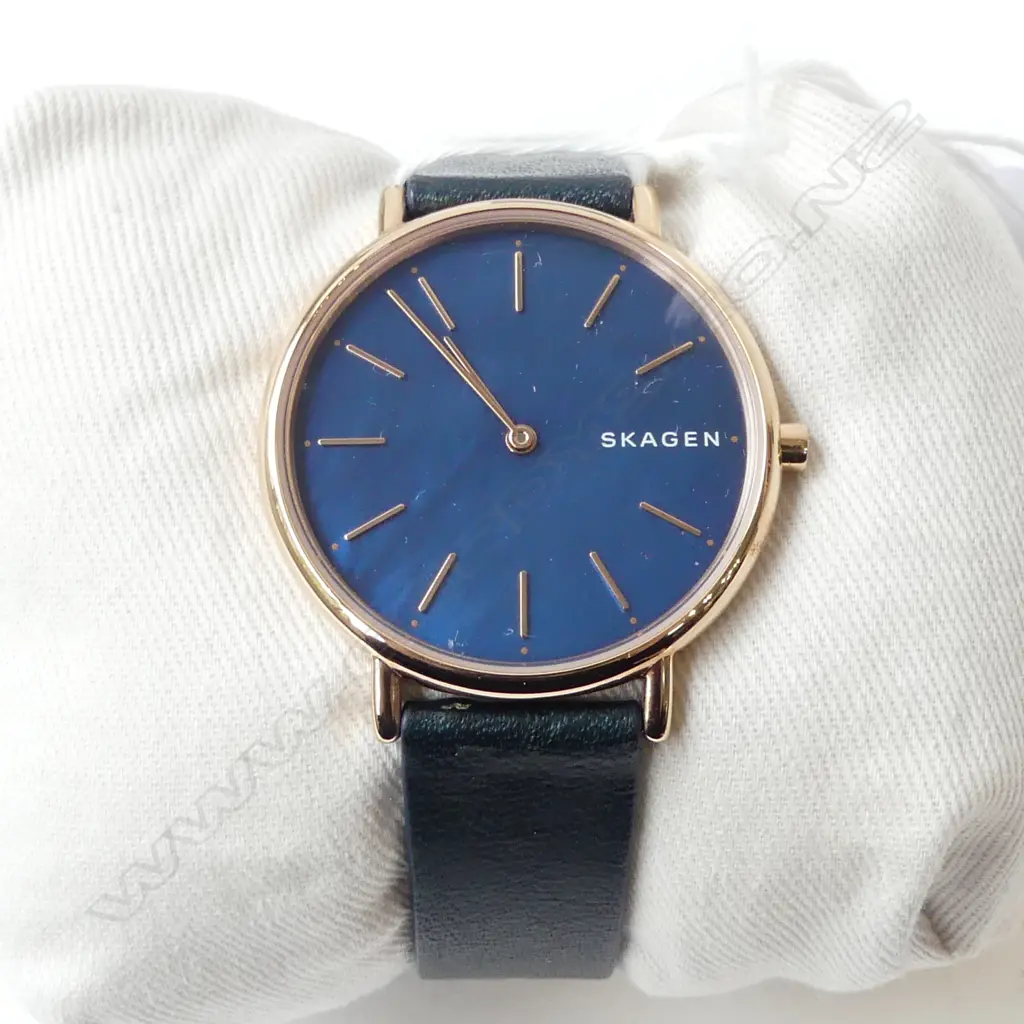 SKAGEN WRISTWATCH, new old stock Image 1++