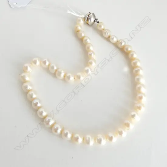 FRESHWATER PEARL NECKLACE w 14ct TWO TONE CLASP, OFF ROUND CREAM COLOUR, FAIR LUSTRE, L.400mm valuation avail $1800