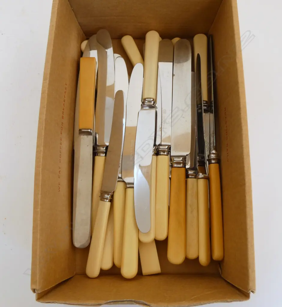 24 ASST. IVORINE 'BONE' HANDLED KNIVES Image 1++