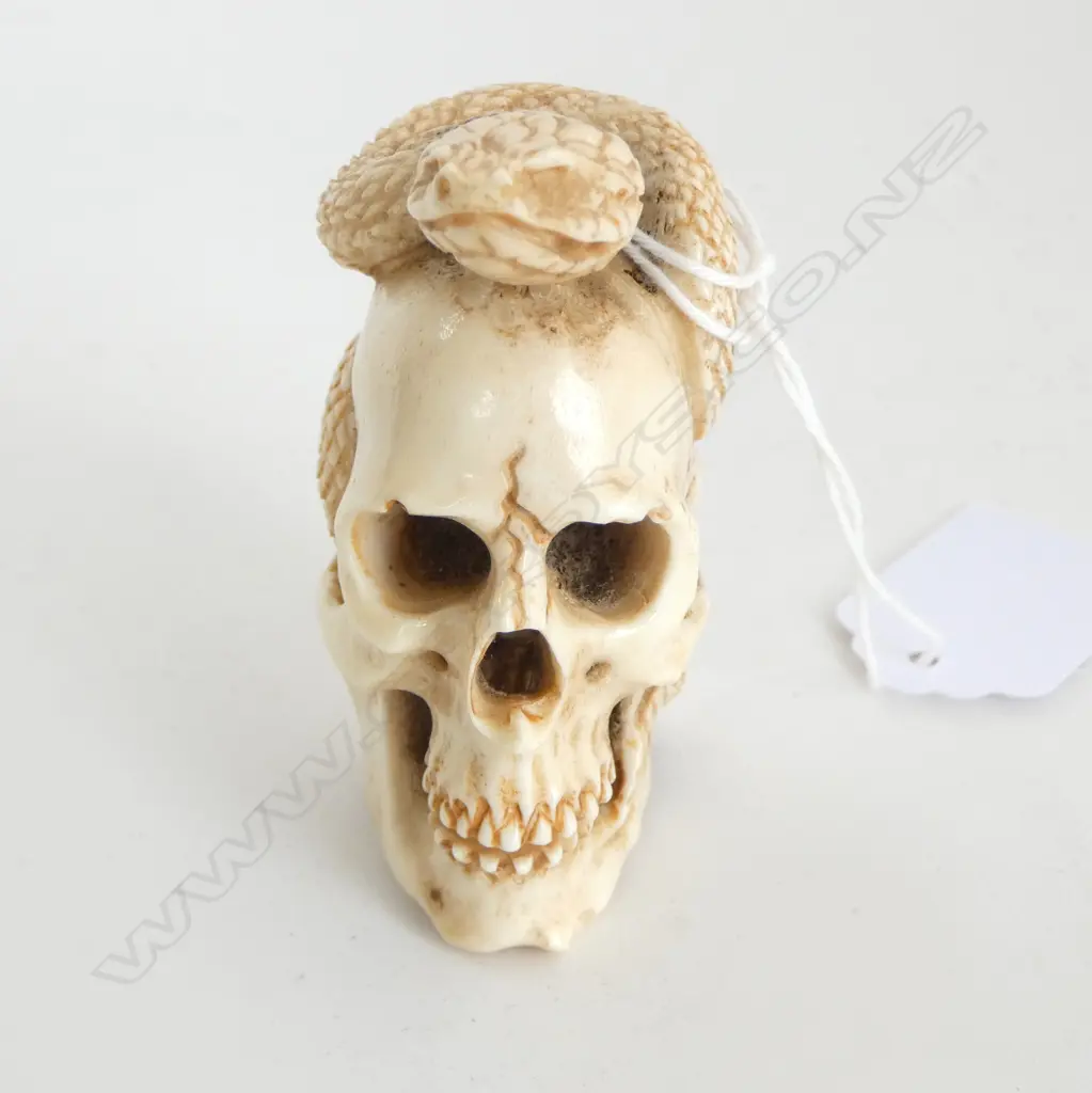 SKULL & SNAKE DETAILED BONE CARVING H.70mm Image 1++