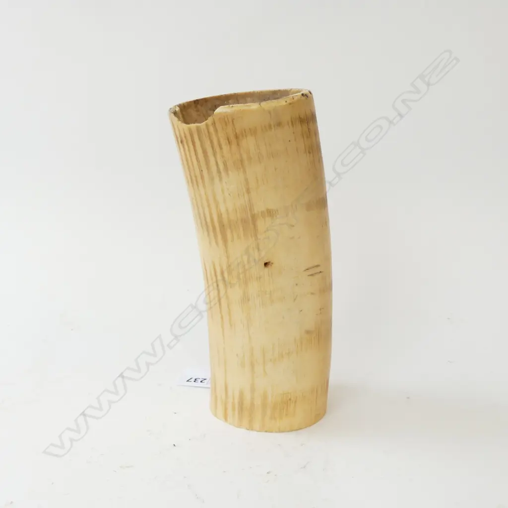 IVORY PARTIAL ELEPHANT TUSK L.170mm Image 1++