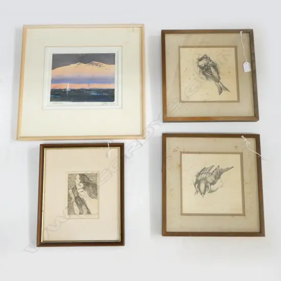 4 FRAMED WORKS; 2 HOWITT '79 BIRD ETCHINGS, FRAMED ETCHING by TAKASHIMA & OTHER PRINT 'ANTARTICA' 200x240mm