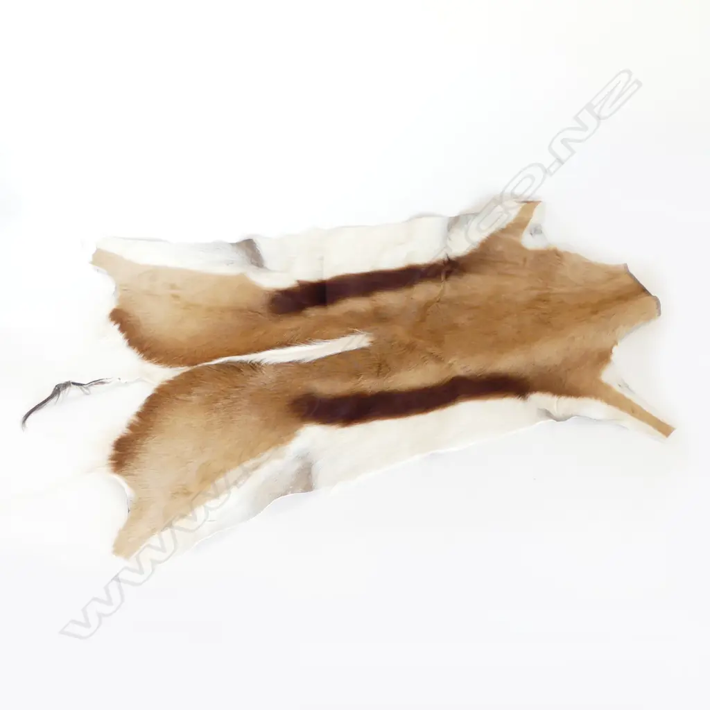 SPRINGBOK HIDE 1000x650mm Image 1++