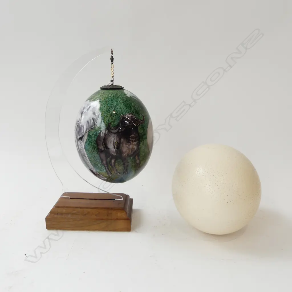  TWO AFRICAN BIRDS EGGS- ONE DECORATED Image 1++