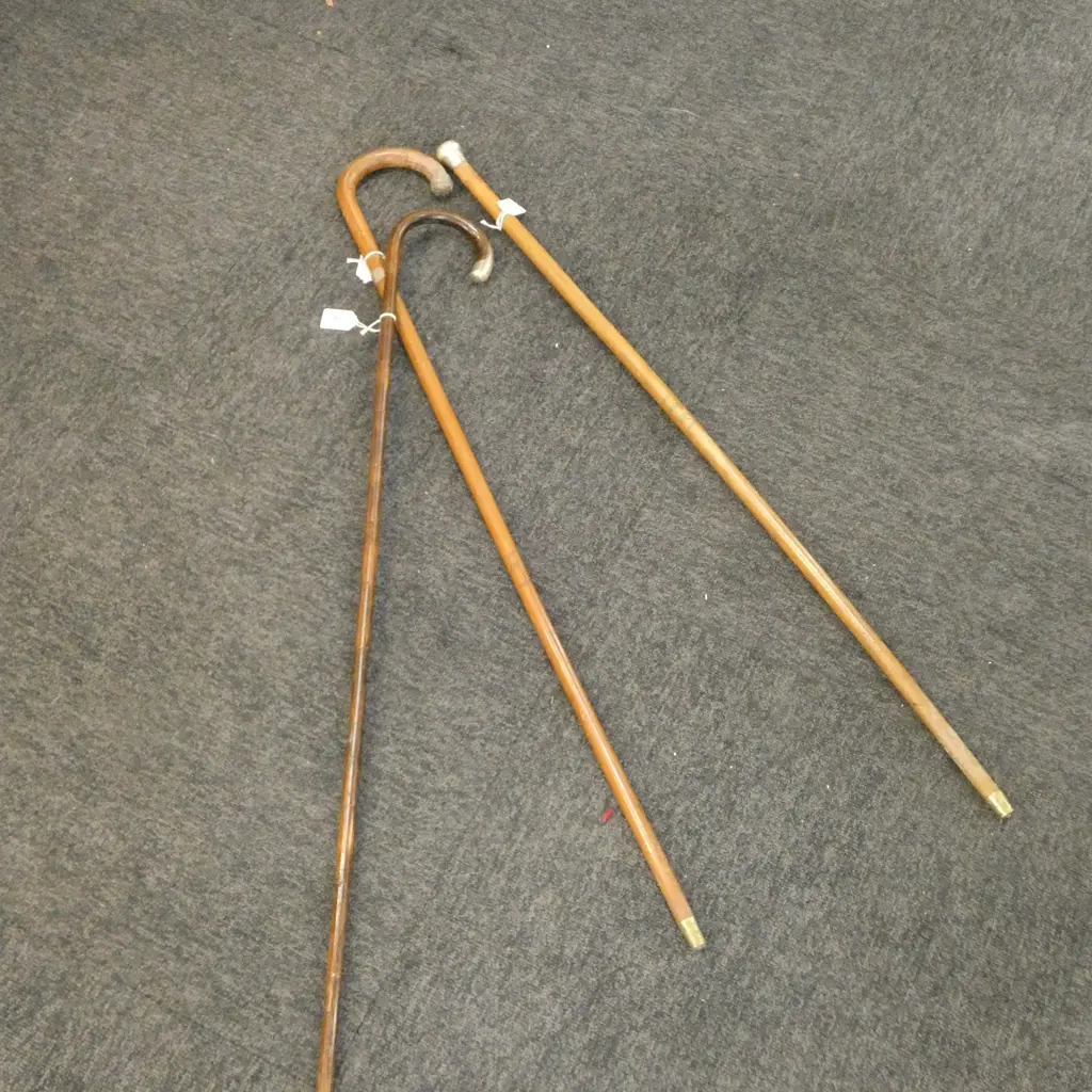 3 VINTAGE WALKING STICKS S/SILVER TOPS & BINDINGS Image 1++