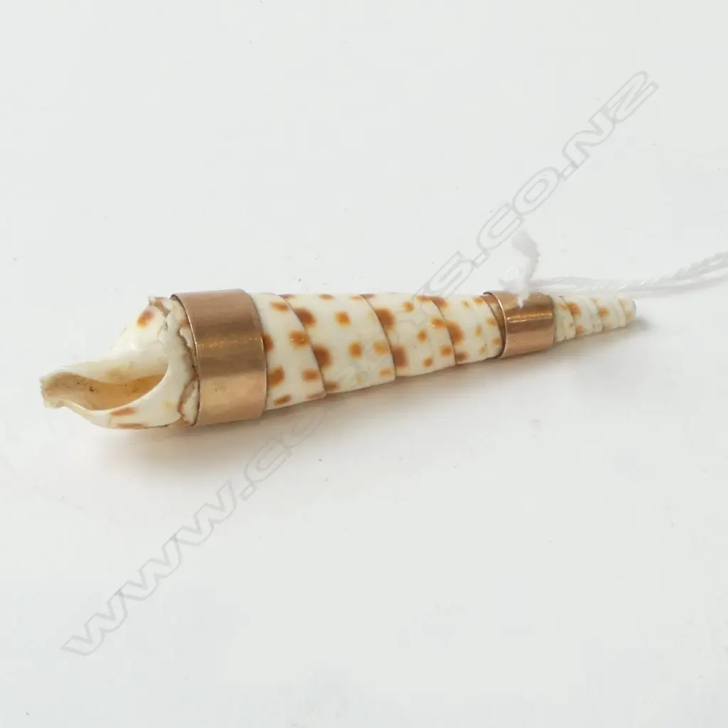 9CT SHELL BROOCH W.75mm 13.7grms Image 1++