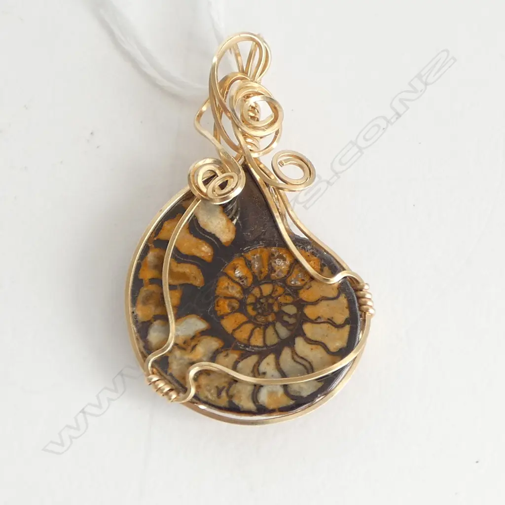 14ct GOLD FILL WIRE WRAPPED AMMONITE FOSSIL PENDANT Image 1++