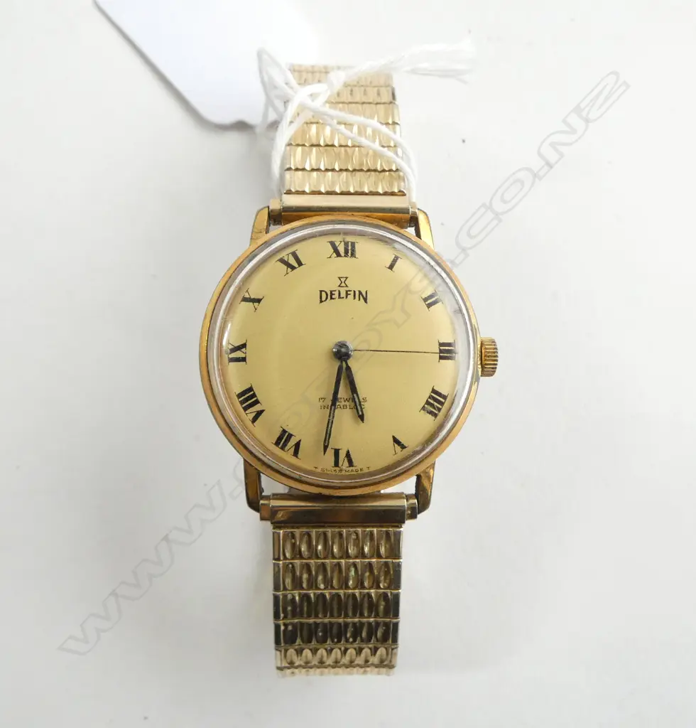 GENTS VINTAGE DELFIN SWISS  WRISTWATCH Image 1++