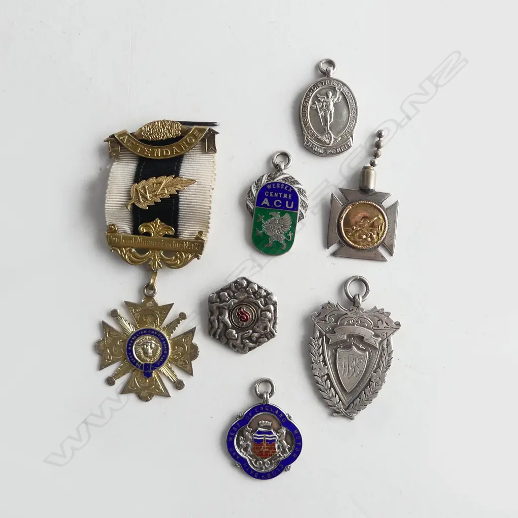 7 MEDALS/PINS; 3 STG MOTOR CLUB PINS, STG 1984 MEDAL, GOLD & SILVER DIVING MEDAL, COMM. PIN & AHURIRI LODGE MEDAL Image 1++