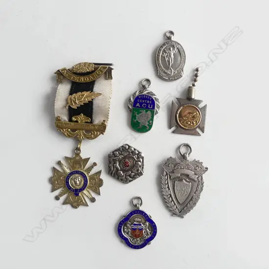 7 MEDALS/PINS; 3 STG MOTOR CLUB PINS, STG 1984 MEDAL, GOLD & SILVER DIVING MEDAL, COMM. PIN & AHURIRI LODGE MEDAL