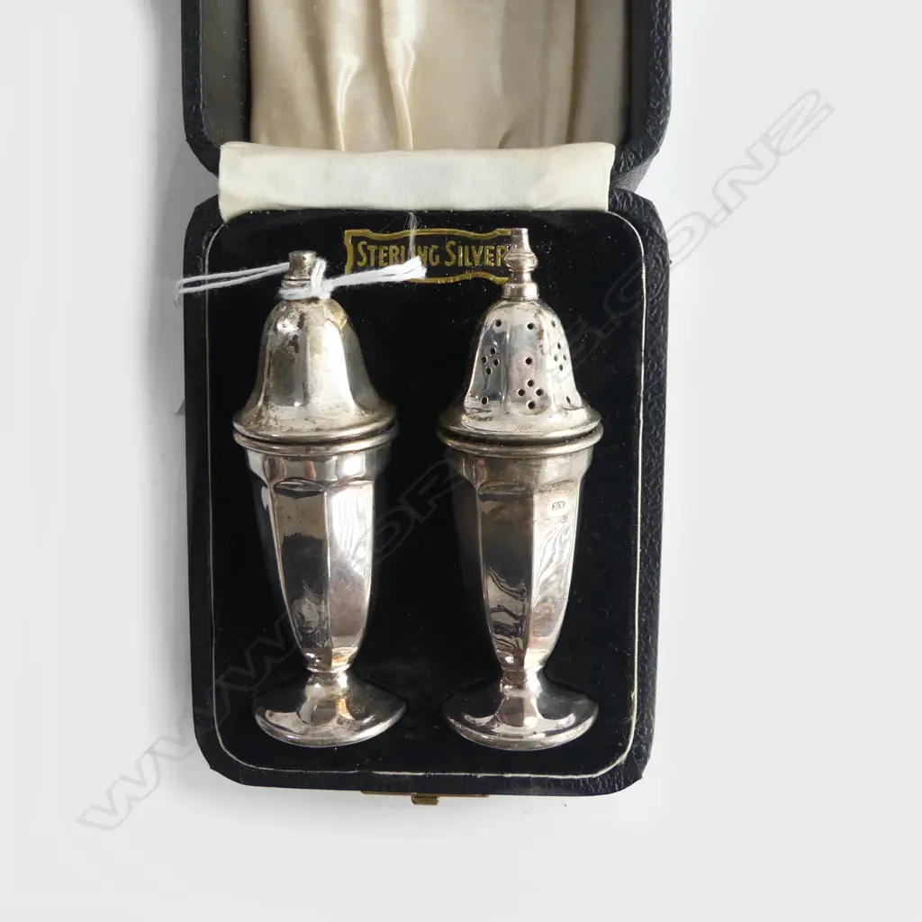 CASED SET S/SILVER  SALT & PEPPER 100G Image 1++