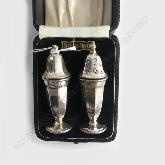 CASED SET S/SILVER  SALT & PEPPER 100G