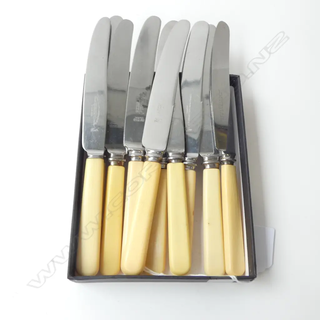 TEN ‘BONE’ HANDLE BREAD & BUTTER KNIVES SHEFFIELD, L.210MM  Image 1++