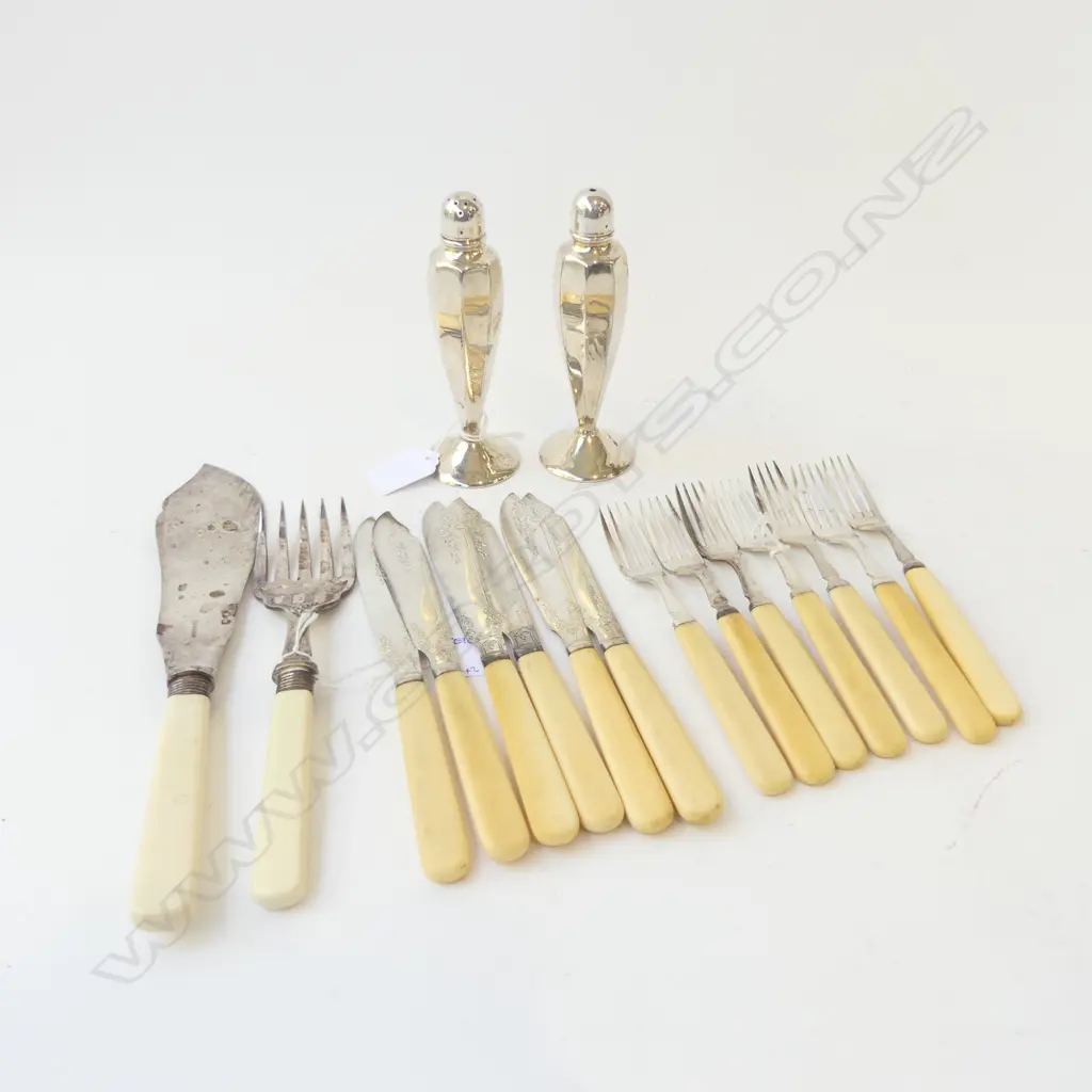 12 IVORINE 'BONE' HANDLED KNIVES & FORKS + FISH SET & 2 EP CASTERS Image 1++