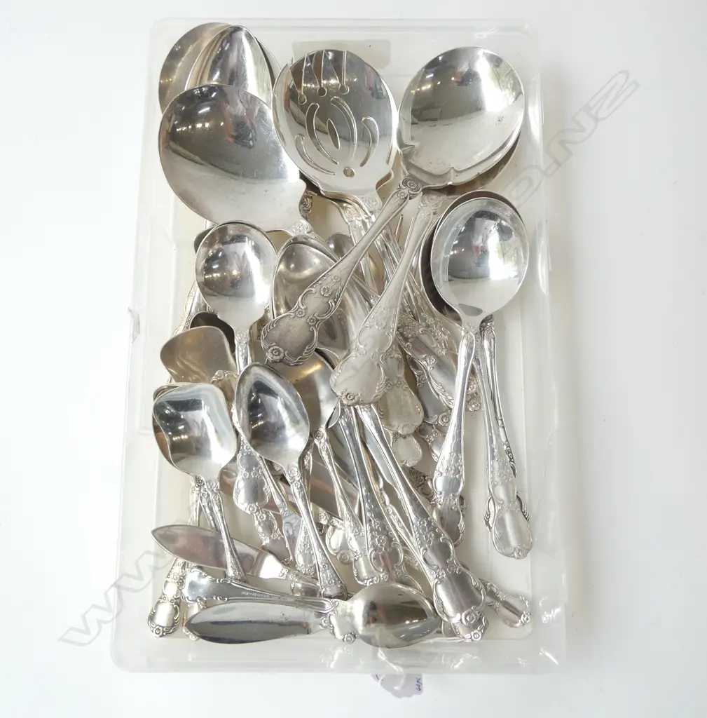 40PCS RODD CAMILLE CUTLERY SERVING SPOONS, CONDIMENT SPOONS ETC  Image 1++