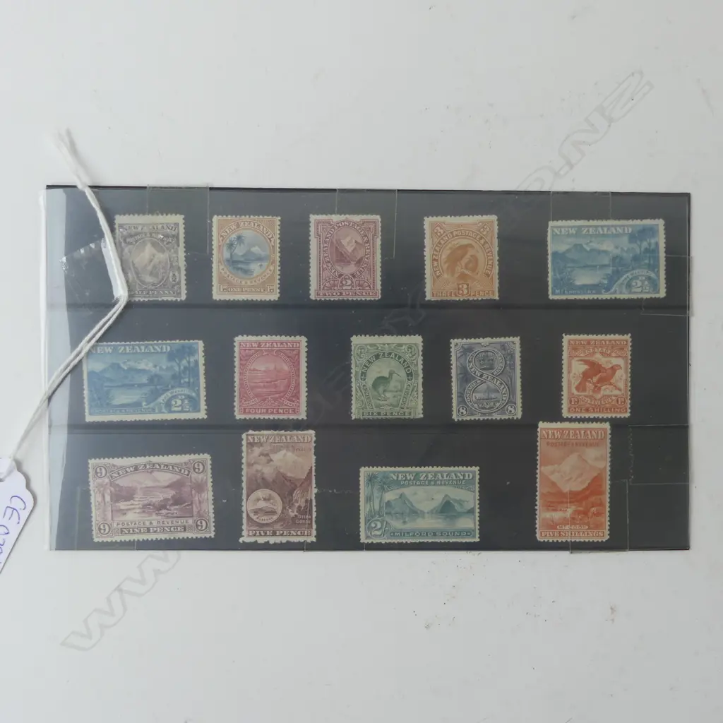 1895 MINT NZ PICTORIAL STAMPS Image 1++