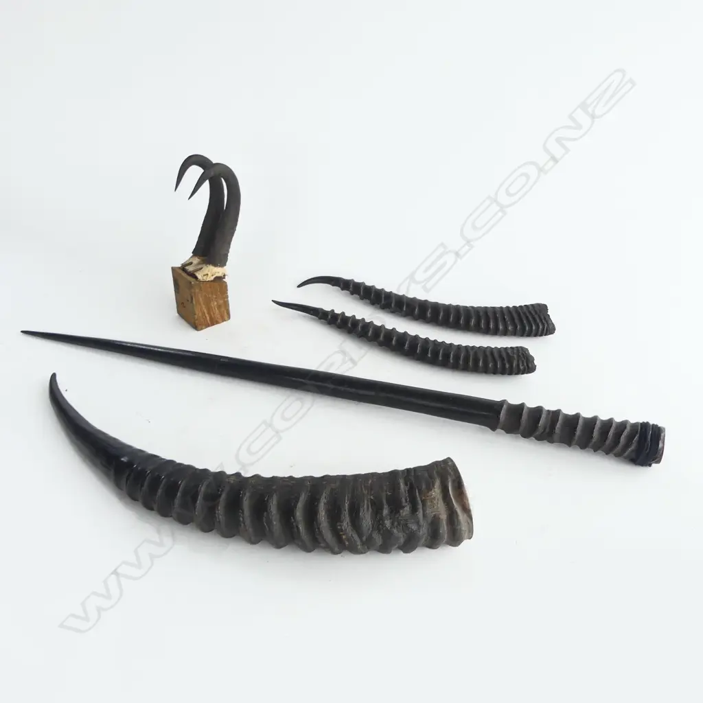 2 PAIRS & 2 INDIVIDUAL ANTELOPE HORNS: The smallest pr mounted to block horn L.120mm. The longest 720mm Image 1++