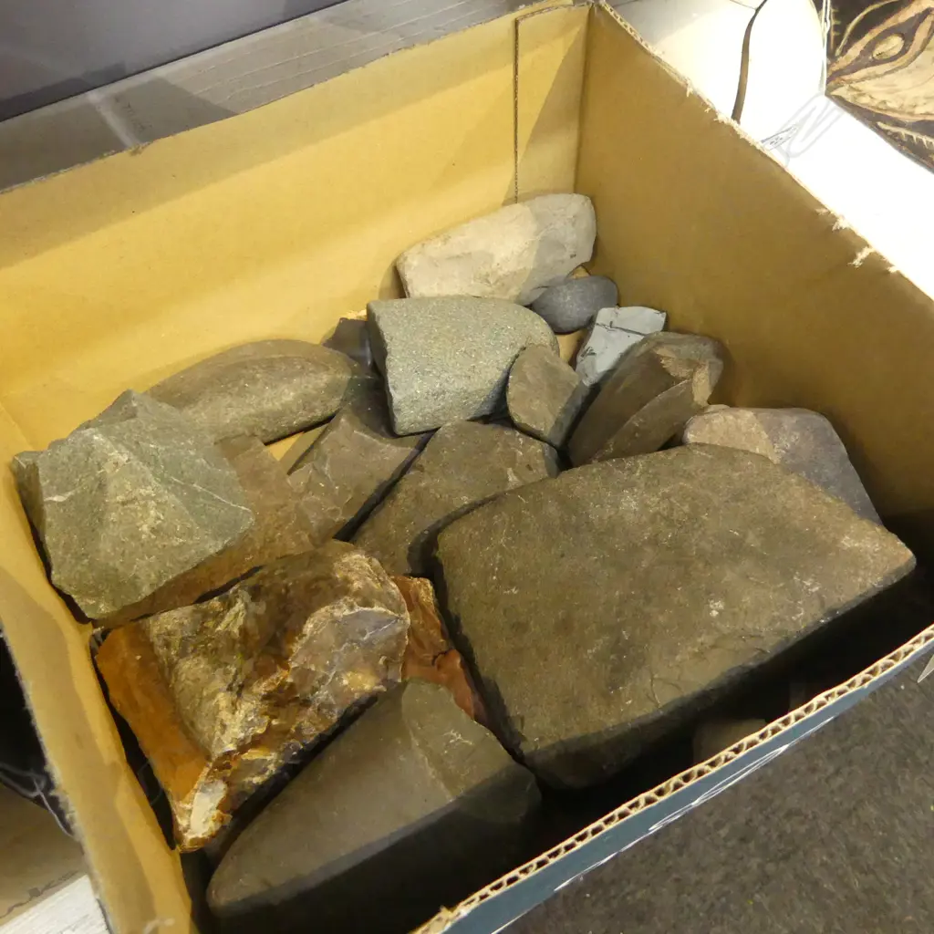 ASST. PACIFIC STONE ADZES Image 1++