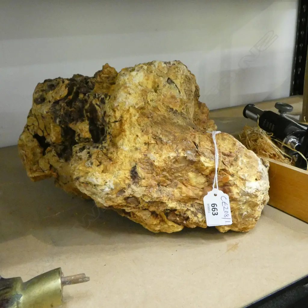 LG KAURI GUM LUMP W.320mm 3.5kg Image 1++