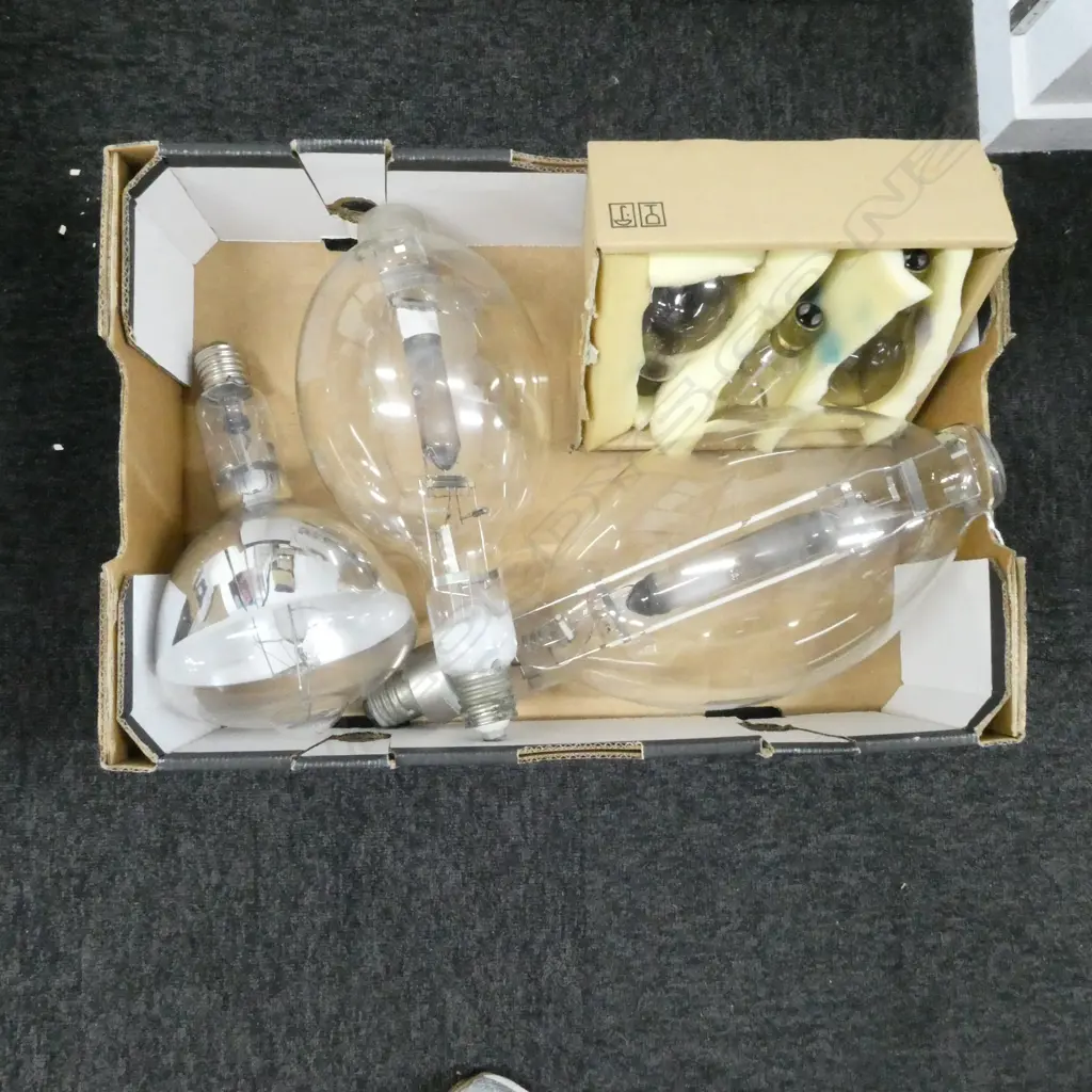 COLLECTION OF 6 VARIOUS SIZED VINTAGE LIGHT BULBS LONGEST 500MM Image 1++
