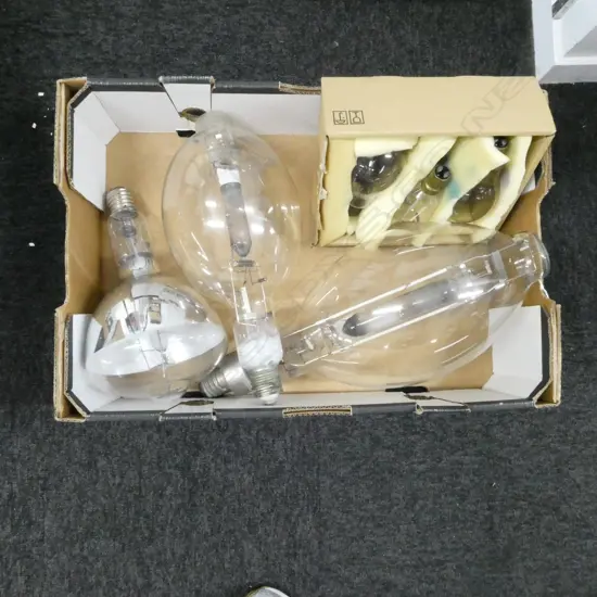 COLLECTION OF 6 VARIOUS SIZED VINTAGE LIGHT BULBS LONGEST 500MM