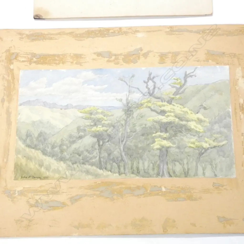 3 UNFRAMED N.Z. WATERCOLOURS 250x470mm Image 1++