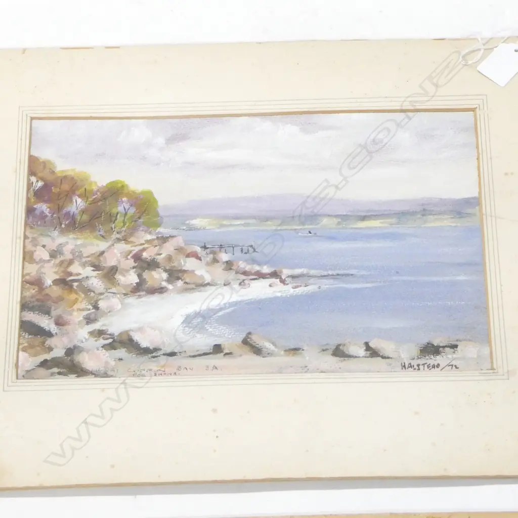 3 UNFRAMED N.Z. WATERCOLOURS 250x470mm Image 1++