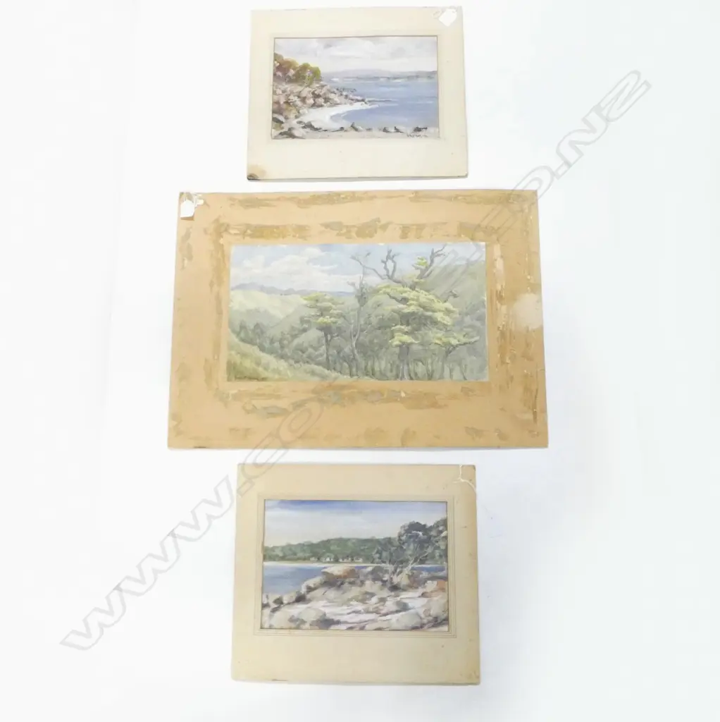 3 UNFRAMED N.Z. WATERCOLOURS 250x470mm Image 1++