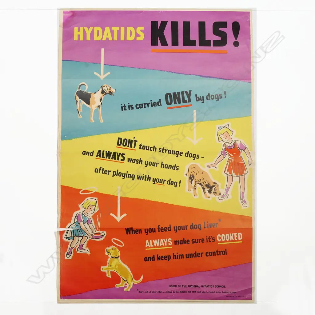 VINTAGE POSTER 'HYDATIDS KILLS' 'Issued by the National Hydatids Council' 'Printed by C.M. Banks Ltd' 750 x 500mm Image 1++