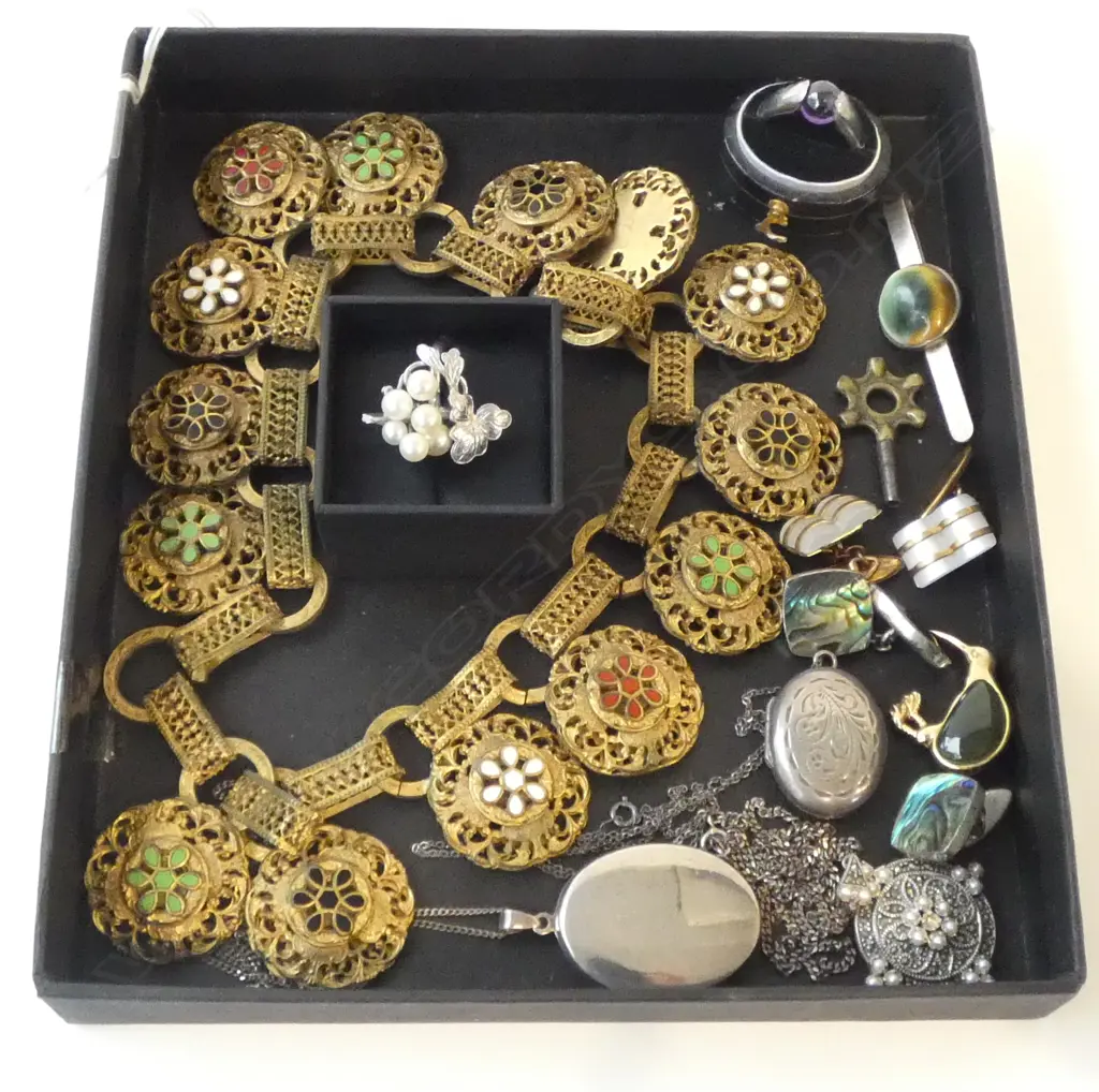 ASST. JEWELLERY; GOLD METAL NECKLACE, KIWI BROOCH, 3 SILVER PENDANT NECKLACES (2 LOCKETS), 2 RINGS, 2 PRS CUFFLINKS ETC Image 1++